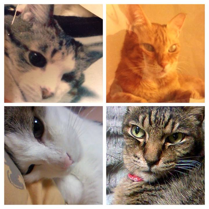 C6accbaa 16f8 4b99 bbb4 9c5117c3b2b5 1534424229242