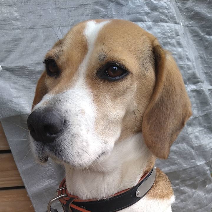 C6accf78 1ac6 4b3a 931a e2aac4e3e90e 1641214040110