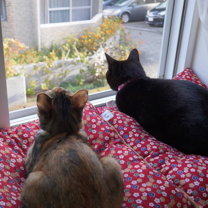 C6acd19a 599d 4731 a4c4 e7a98956d09d 1606032797463