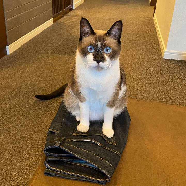 C6ad0704 373b 433a bc2d db7610abfb24 1598589249200