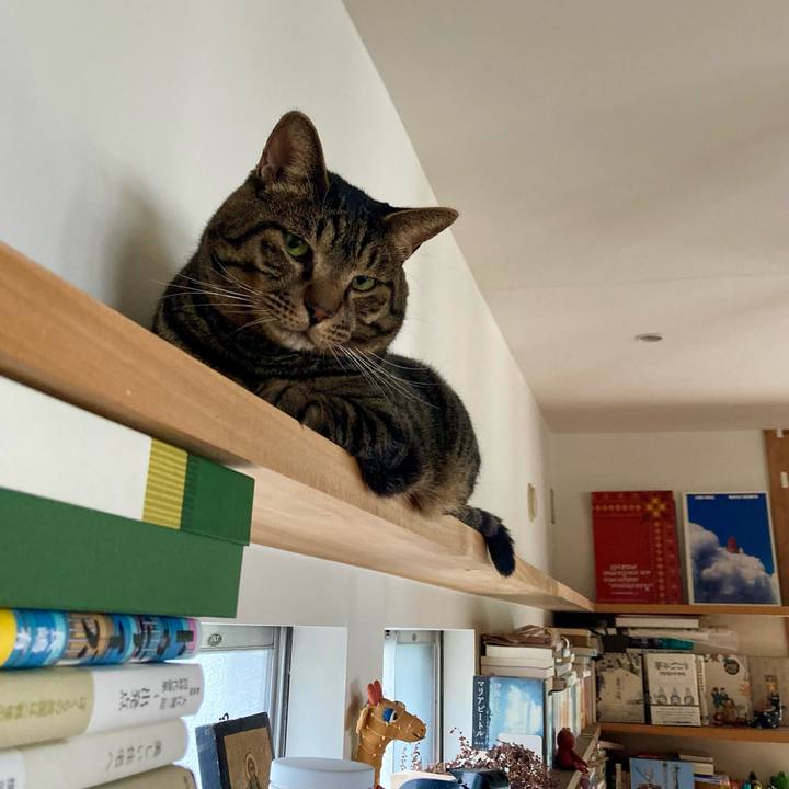 C6ad4bab f85a 40d1 a44f 7aa9dc66cc7c 1724286498205