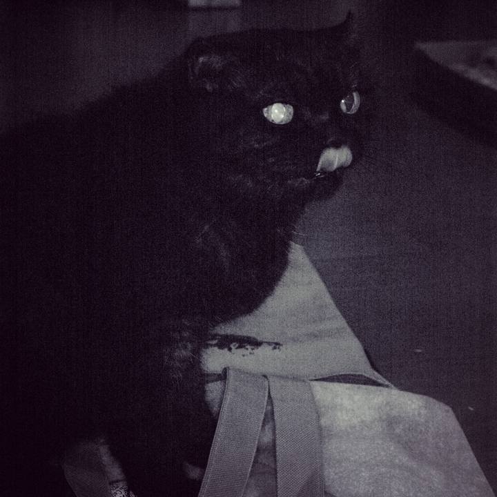 C6ad5b4f 7eb8 499e 806b 94b87686b531 1538581711112