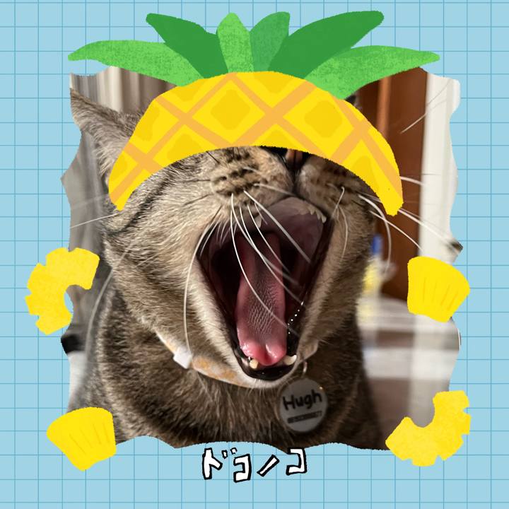 C6ad81d9 f023 4a21 8c2a 48906bf9b7ce 1783779834011