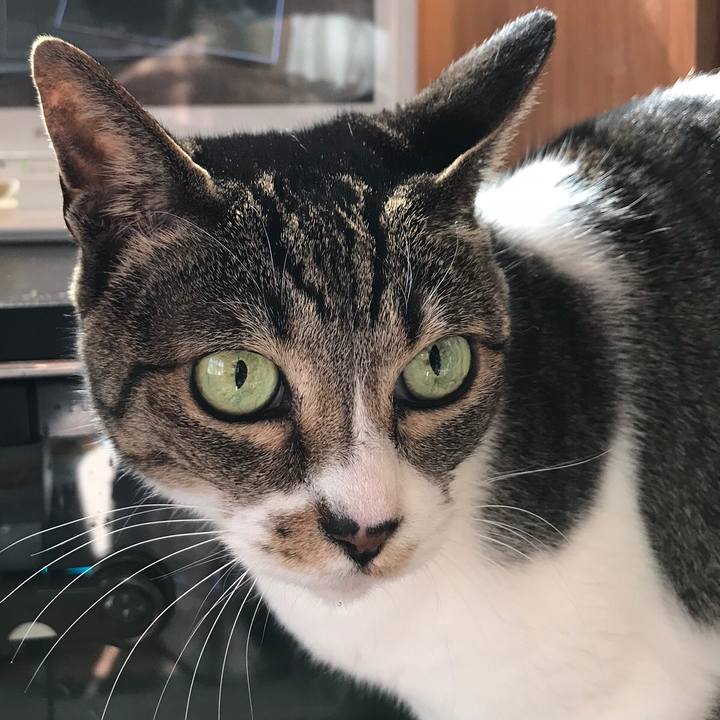 C6ada47f 2546 49e1 b060 0d6644213426 1521506468392