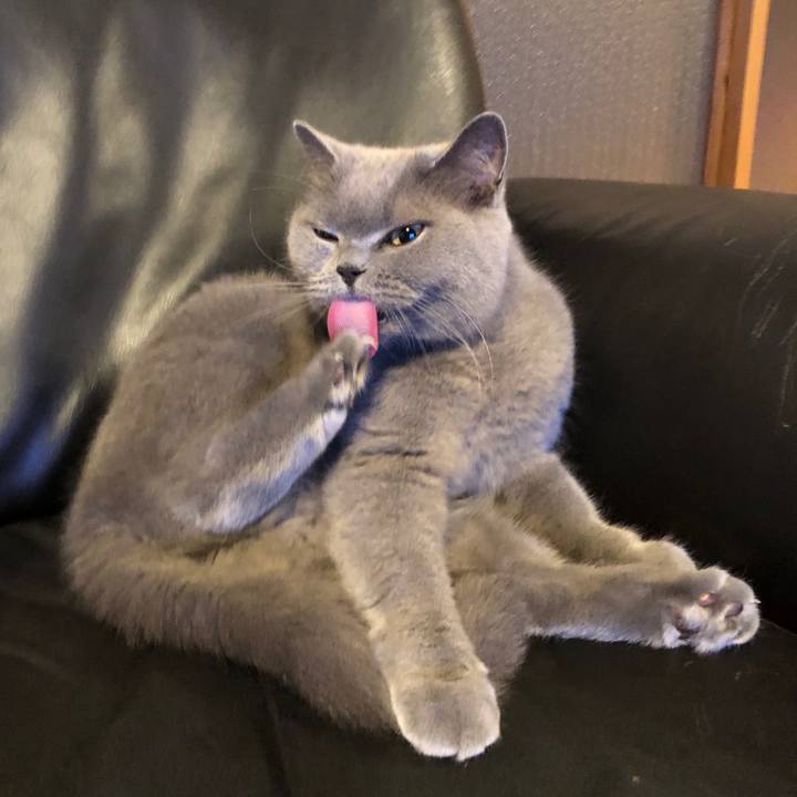 C6add9cc f80c 4a7c 9d69 b1eb0444bec8 1608296244093