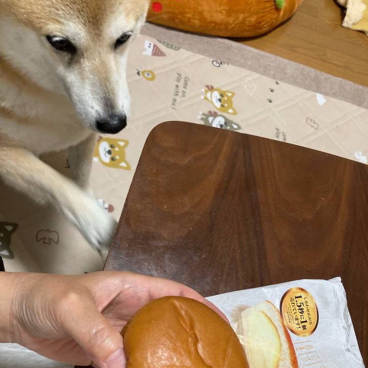 C6ae36b9 05d3 4869 b783 23edb1442275 1620643770545