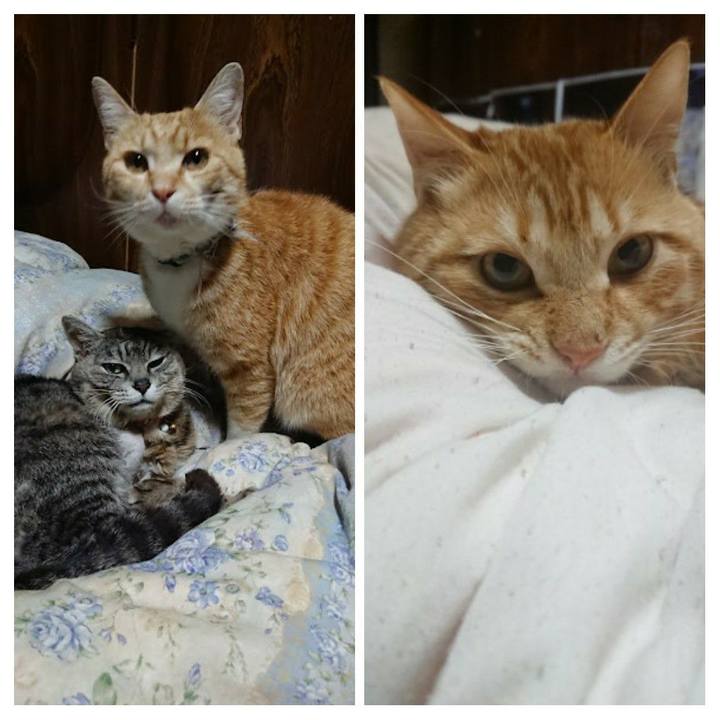 C6ae3df3 46f4 4e74 8db3 2d175dce96b2 1647901244091