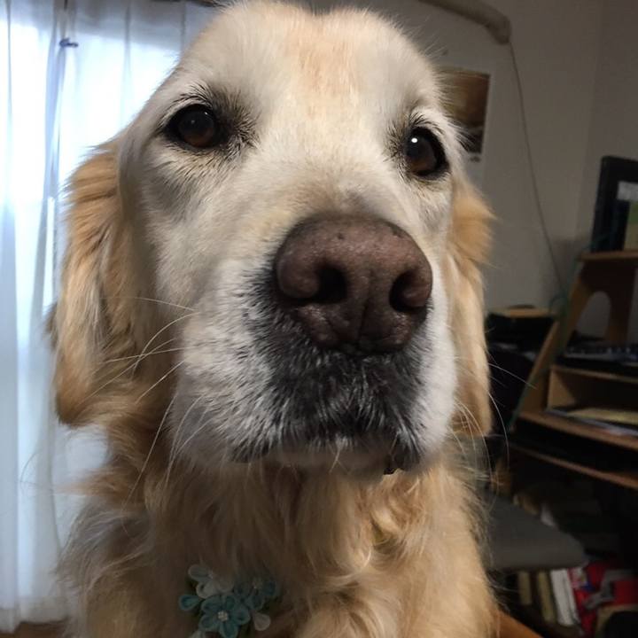 C6ae75f1 e680 4a4e b10d 400132456d3d 1547006522754