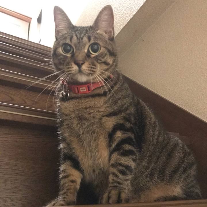 C6aebc69 5e8e 4f6b 9616 918b29b33c81 1572115959063