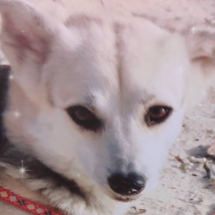 C6aed025 6d96 4de7 8f2a f4e663064186 1593327999317