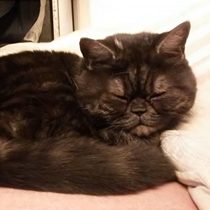 C6af2ef3 6a05 404b 931d 779ceef4bc85 1515334728873