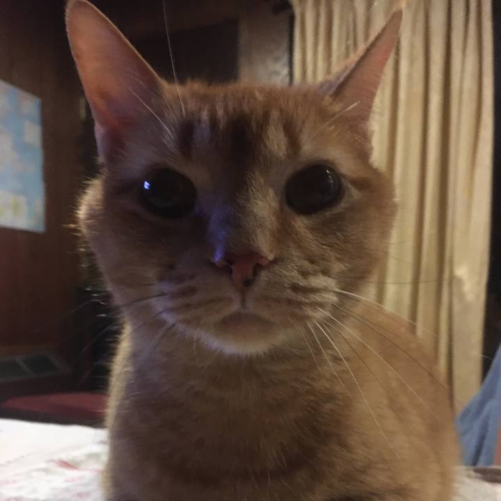 C6af5f59 c5c9 4e6e 8a24 ff05fbb24097 1633394789026