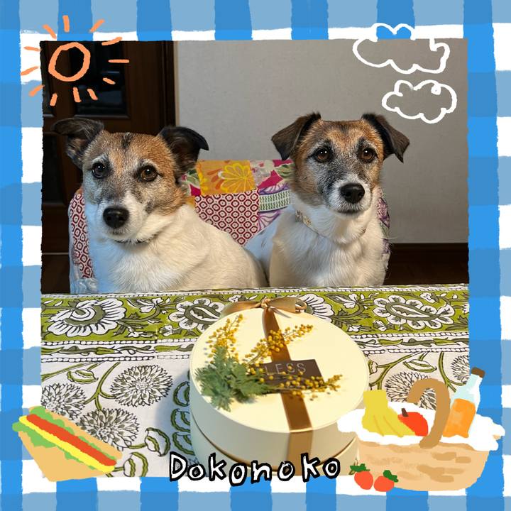 C6af6b95 683c 4307 a870 df44b11520be 1744298417402