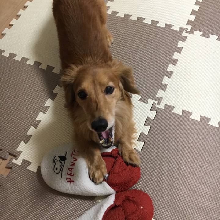 C6af715a 7274 4bc7 89ec 189bbf0e2366 1606998899165