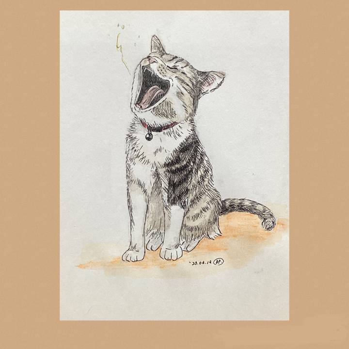 C6af9b46 582a 423e 8ed3 405f8a5a3831 1678702302631