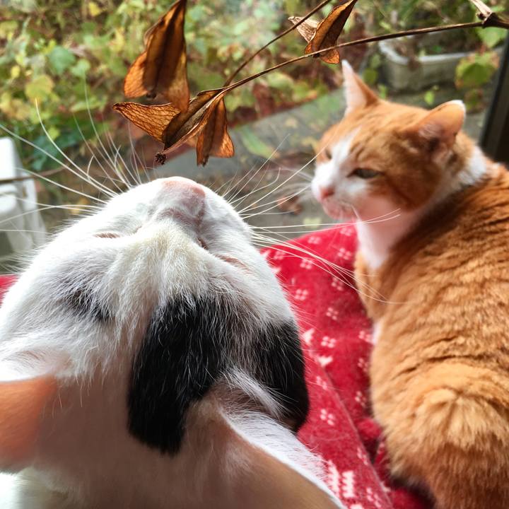 C6afa177 9108 47fd 8206 ac484c772de9 1573111574574