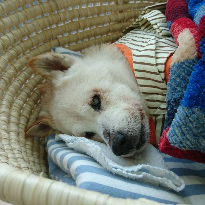 C6afb47c 5ef7 4b8d b0fb 13d3044092ef 1541660485172