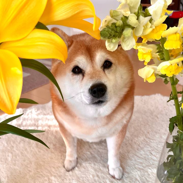 C6afe67b 0006 4fab 909b 1ac47744f821 1674158241664