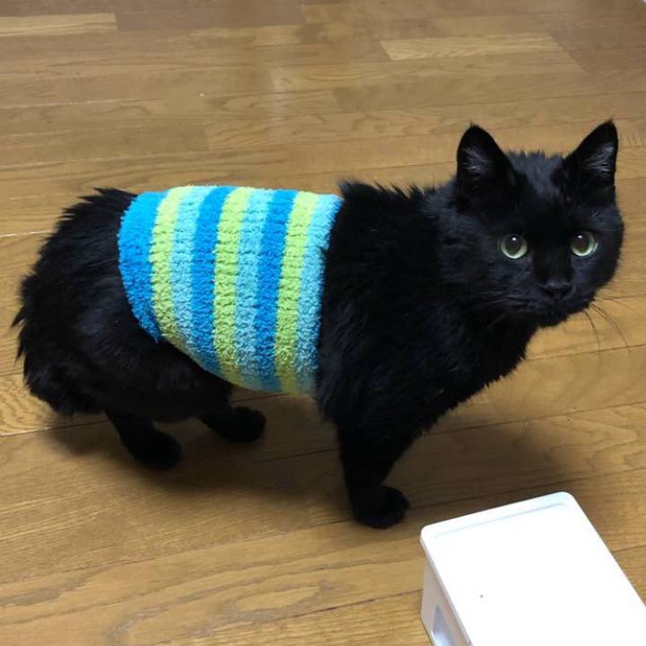 C6aff2bf bdb1 4a85 8be6 5ab85f21a43c 1700563332380