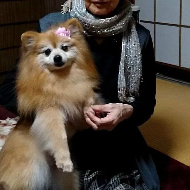 C6b012ca d630 4621 b72b 20acf726702f 1631829362753