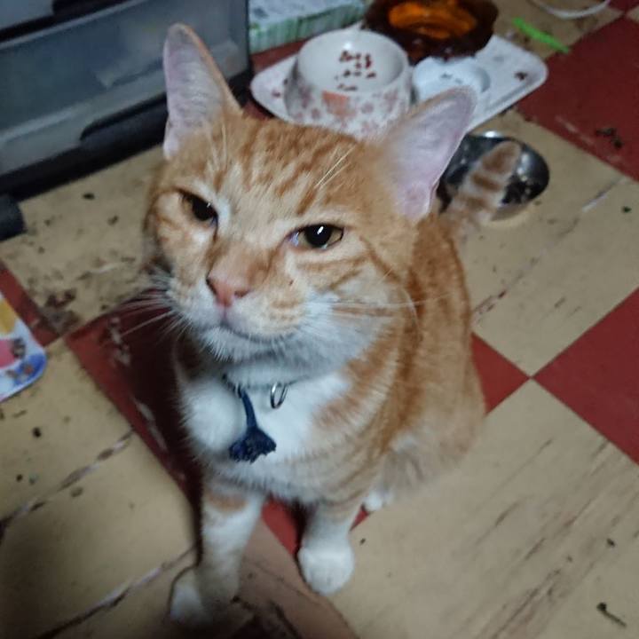 C6b045ce c5fa 4bdf b81f 2779f4435ed6 1565725682399