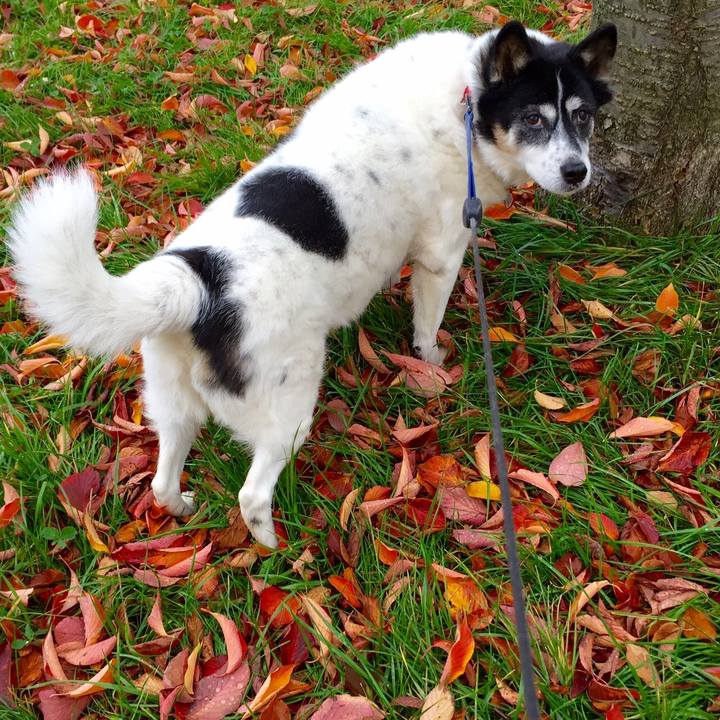 C6b076d1 7ab7 42a0 bf3c abb75703324d 1541950442871