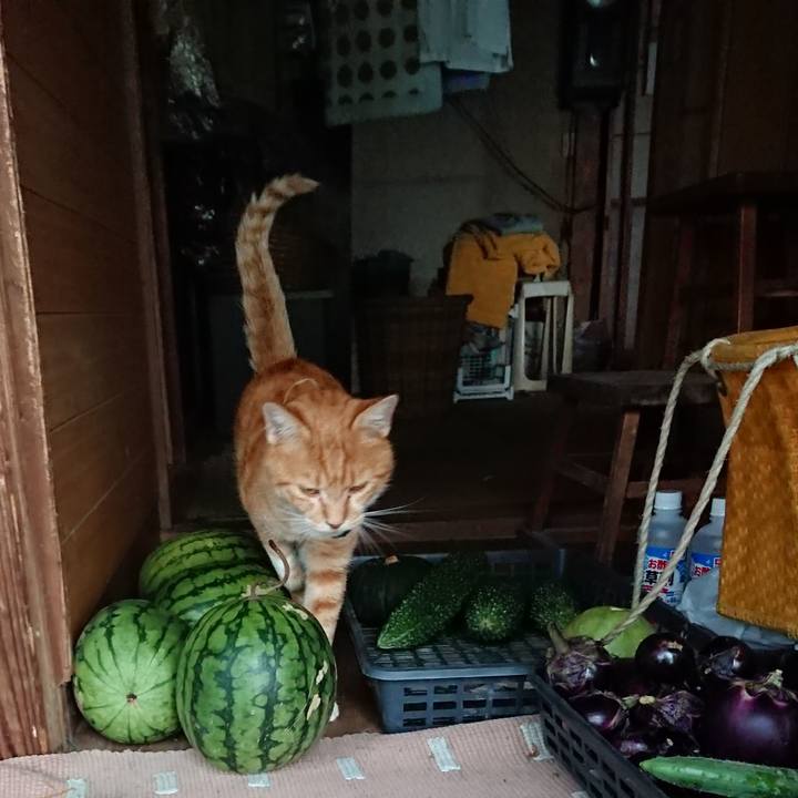 C6b07ea4 d4ad 4a67 b0a1 29457734a280 1567500516740