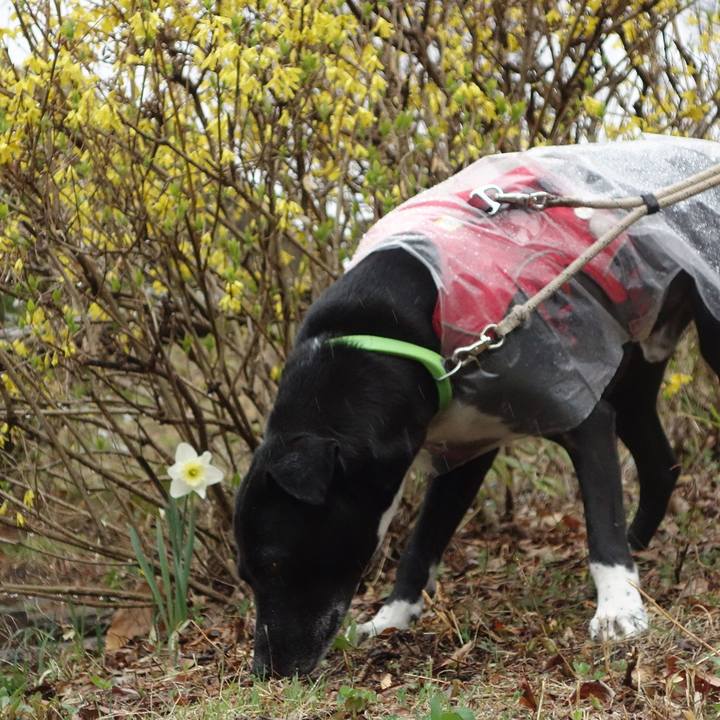 C6b08c7f bd0e 4ceb abb9 7db67d9250a6 1647907697189