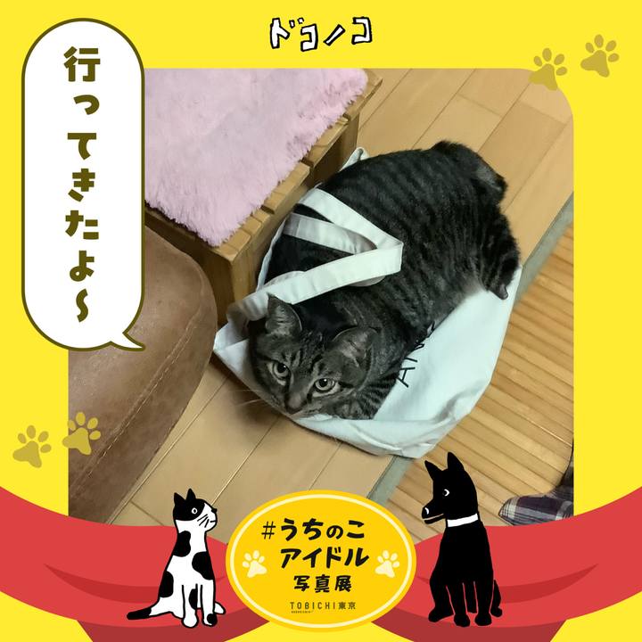 C6b0b2c4 d89d 4fac a75a c1d35d856e76 1761121162746