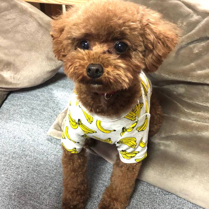 C6b0de31 dd3c 44d5 94ed 48fbba05e2a3 1589271160755