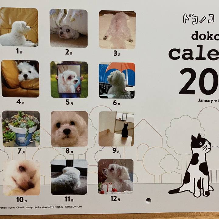 C6b120f3 3140 4efc 95d3 ea81df711431 1765627416720