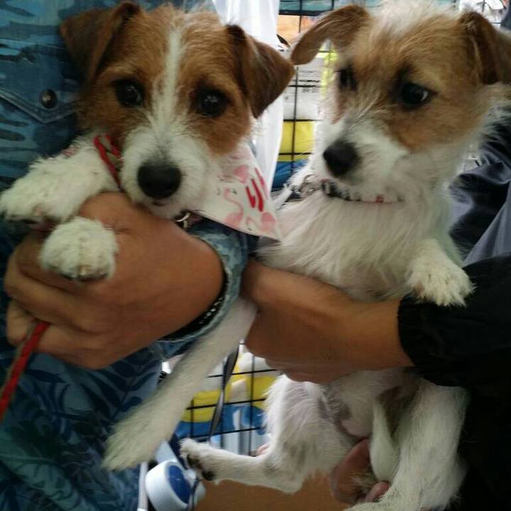 C6b1346c 45ca 4384 bb71 8e1c305b7ec3 1539418568699