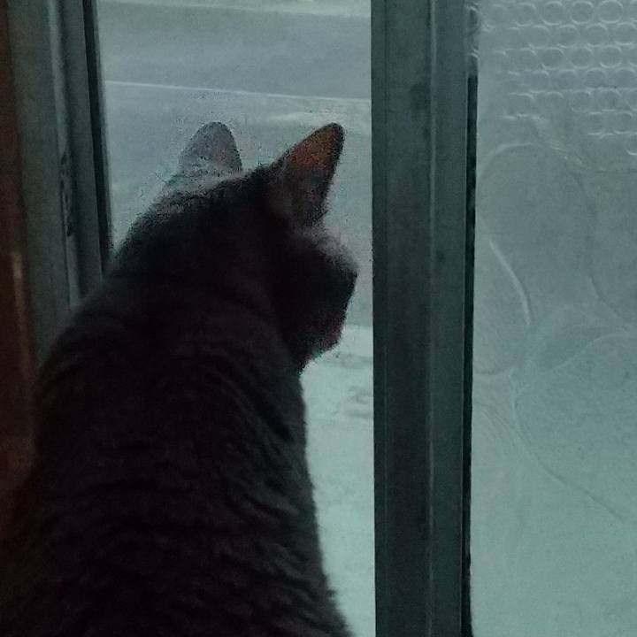 C6b158bc fe00 4999 8364 ba5bdb3bac29 1660470700285