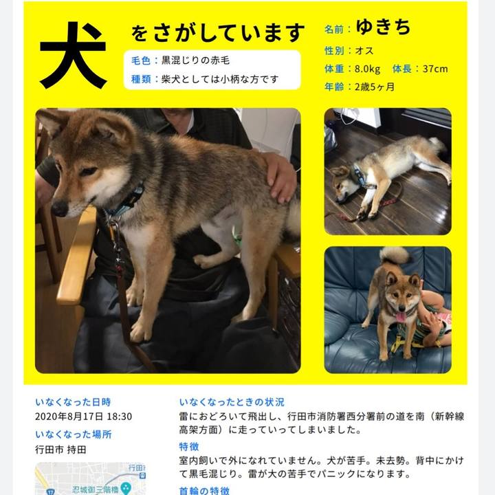 C6b17be6 3b05 486d aa7b 0b6dfe7c1641 1598260476529