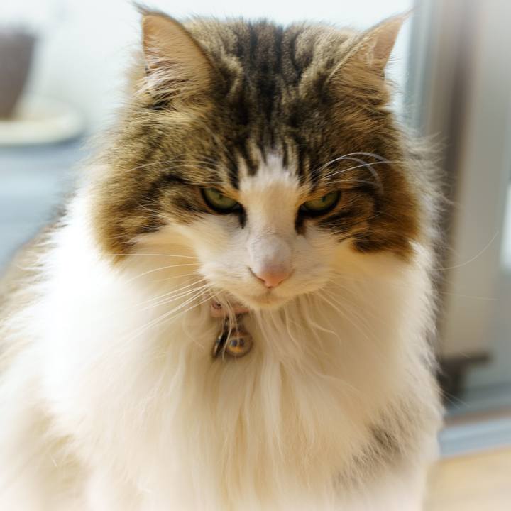 C6b18164 cc2a 491d 9cc1 2c9ab509fd02 1648448979588