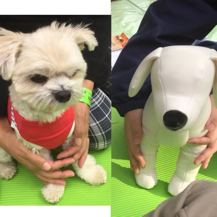 C6b187fb 84bf 43a5 bc0a b15a5f67bb29 1511349763478