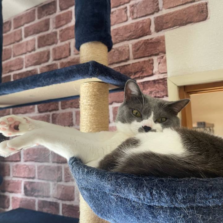 C6b1c08a 88f4 46af 87b9 676c1c117a01 1664843270383