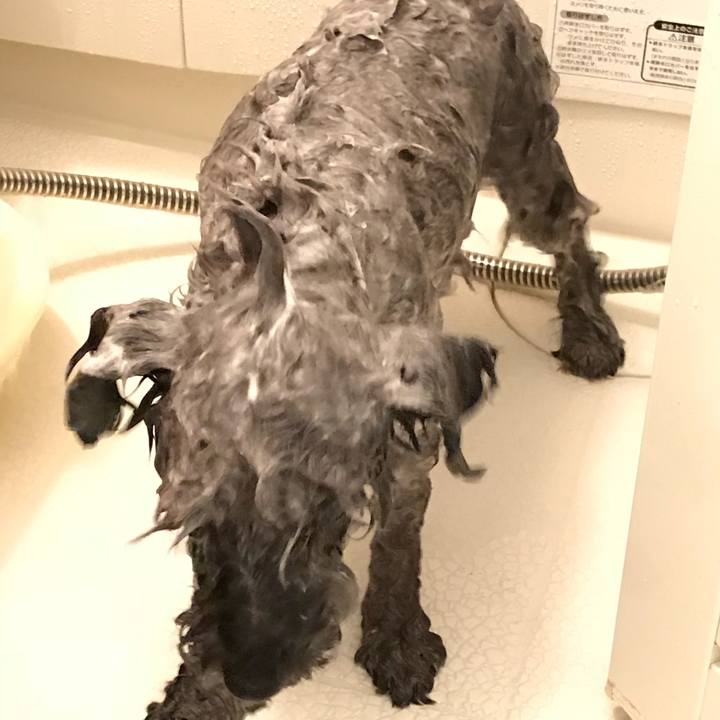 C6b1c4ce e875 4647 b041 6f868ba3b7f8 1517049054160