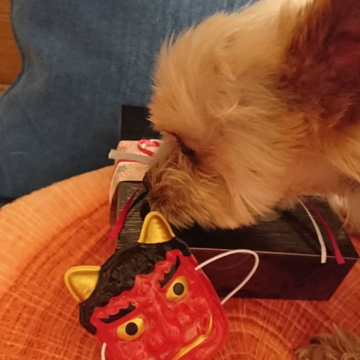 C6b23df0 2cf9 4a54 9fd7 427298680a80 1549069928636