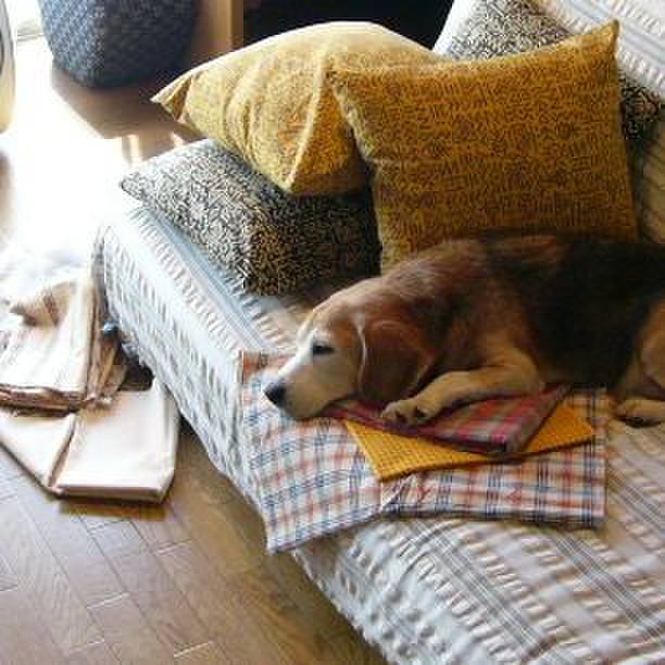 C6b23ff6 b0f8 49c3 8893 0ecab9dcee42 1668733439192