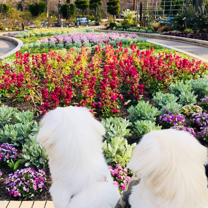 C6b29eee 0b40 49ec 816a 695fea6ec3d3 1584530376635