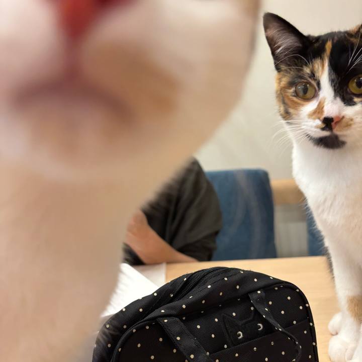 C6b2bc4d 4cba 42b0 b5fd 400a6176f446 1767427109761