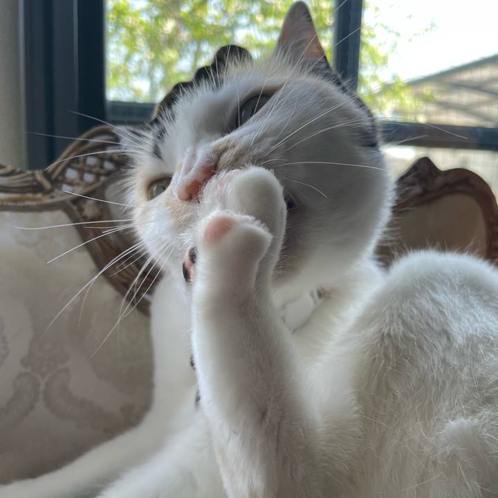 C6b2cfae efe8 4994 aca2 8b36e19f6643 1745211619628