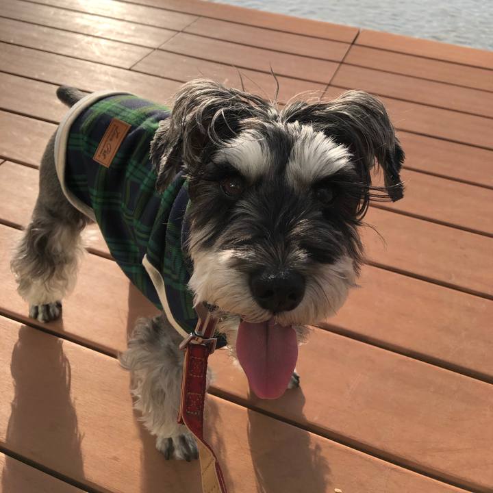 C6b3282a 49e9 4ab7 99a7 210a25306fd8 1668850114082