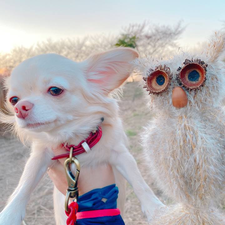 C6b36376 ddf9 4168 a21f 75db1d0431ed 1637143121910