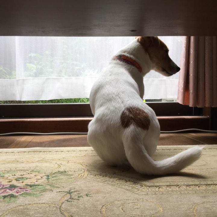 C6b3a15c d8f6 4bea 9334 c1318e1be1d1 1526528566391