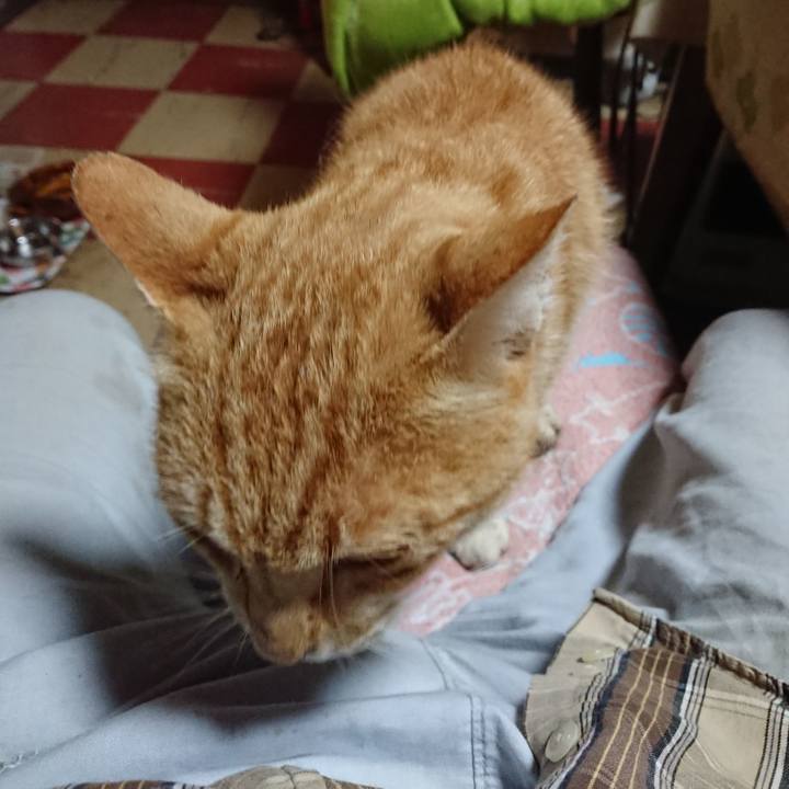 C6b3aac0 6c82 411a 9bb9 569ef55352d8 1590957754196