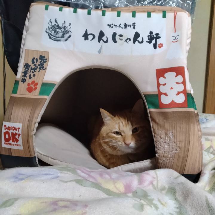 C6b3d6c3 9a62 456c b99c 0c5d799fe68c 1675512146507