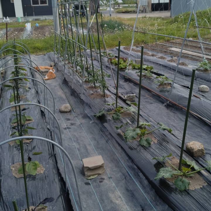 C6b41b44 ebd5 420f baea 7c565fccba3e 1748335789498