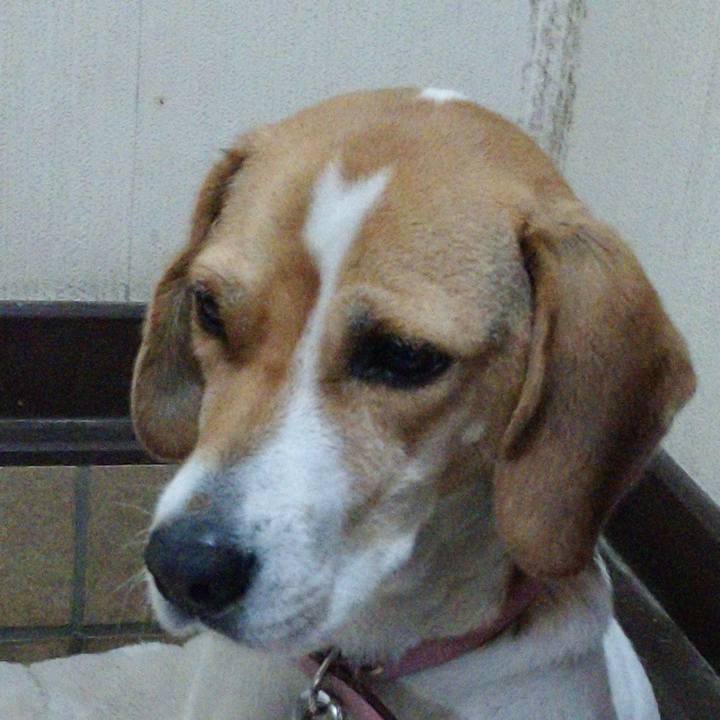 C6b44466 d6a9 47a6 93d0 fa66199201d2 1576206487479